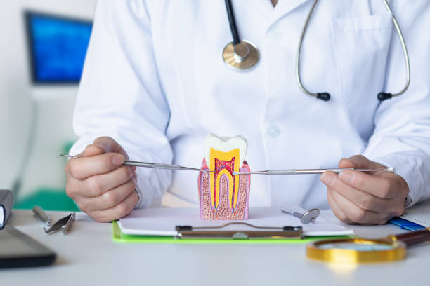 Best Emergency Gum Treatment in Lochearn, MD